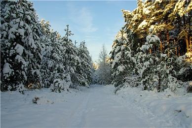 E3：国王为国民做媒 《Lakeburg Legacies》预告片